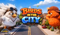 Birds in the City from Betsoft